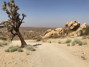 Enlarge photo 17