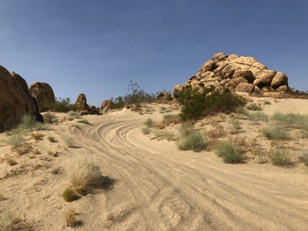 Enlarge photo 35