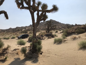Enlarge photo 47