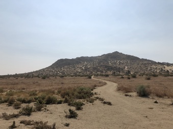 Enlarge photo 62