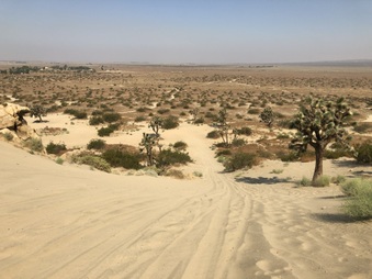 Enlarge photo 48