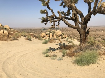 Enlarge photo 41