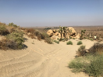 Enlarge photo 42