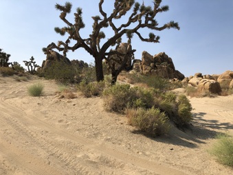 Enlarge photo 40