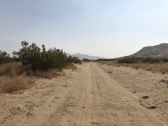 Enlarge photo 49