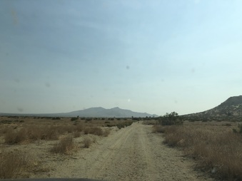 Enlarge photo 52