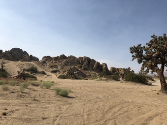 Enlarge photo 3