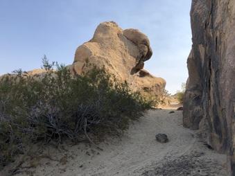 Enlarge photo 21