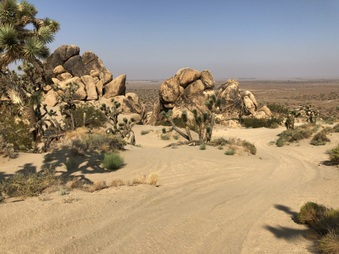 Enlarge photo 32