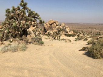 Enlarge photo 31