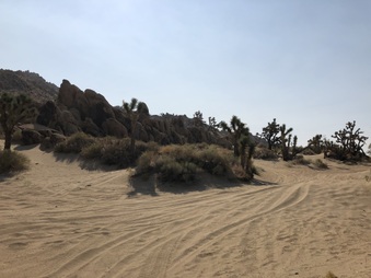 Enlarge photo 16