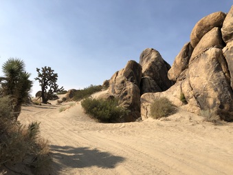 Enlarge photo 18