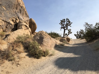 Enlarge photo 14