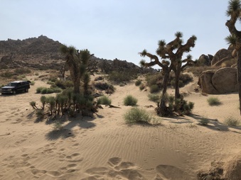 Enlarge photo 43