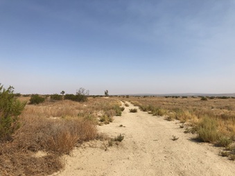 Enlarge photo 56