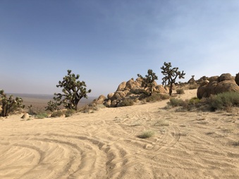 Enlarge photo 29