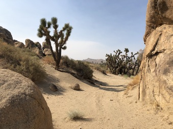 Enlarge photo 23