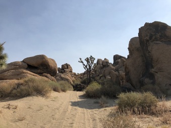 Enlarge photo 25