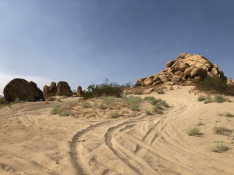 Enlarge photo 34