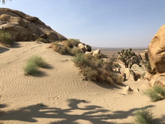 Enlarge photo 46