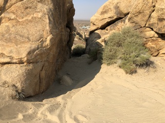 Enlarge photo 45