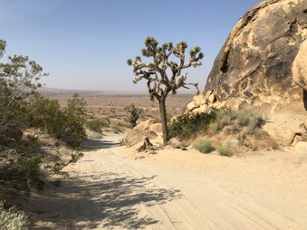 Enlarge photo 15