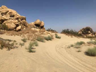 Enlarge photo 37