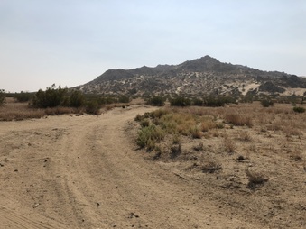 Enlarge photo 53