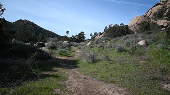 Enlarge photo 4