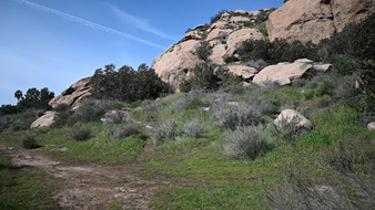 Enlarge photo 5