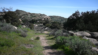Enlarge photo 6