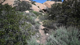 Enlarge photo 9