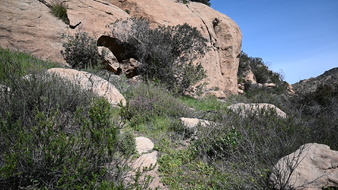 Enlarge photo 10