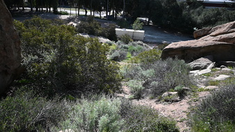 Enlarge photo 11