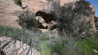 Enlarge photo 13