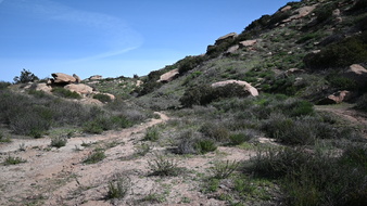 Enlarge photo 14