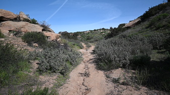 Enlarge photo 15