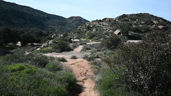 Enlarge photo 17