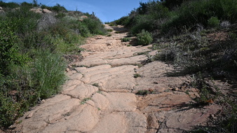 Enlarge photo 18