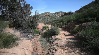 Enlarge photo 19