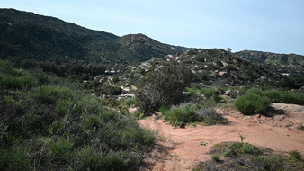 Enlarge photo 21