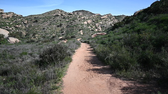Enlarge photo 22