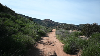 Enlarge photo 23