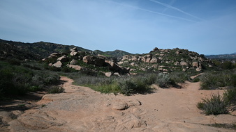 Enlarge photo 25