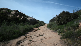 Enlarge photo 26