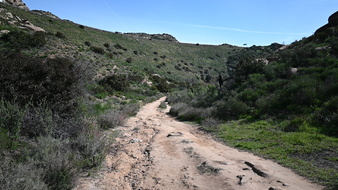Enlarge photo 27