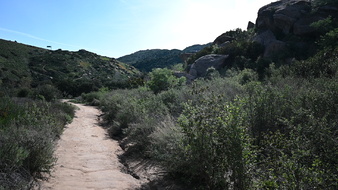 Enlarge photo 28
