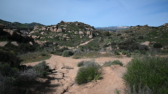 Enlarge photo 31