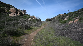 Enlarge photo 35