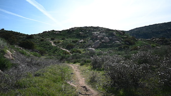 Enlarge photo 36